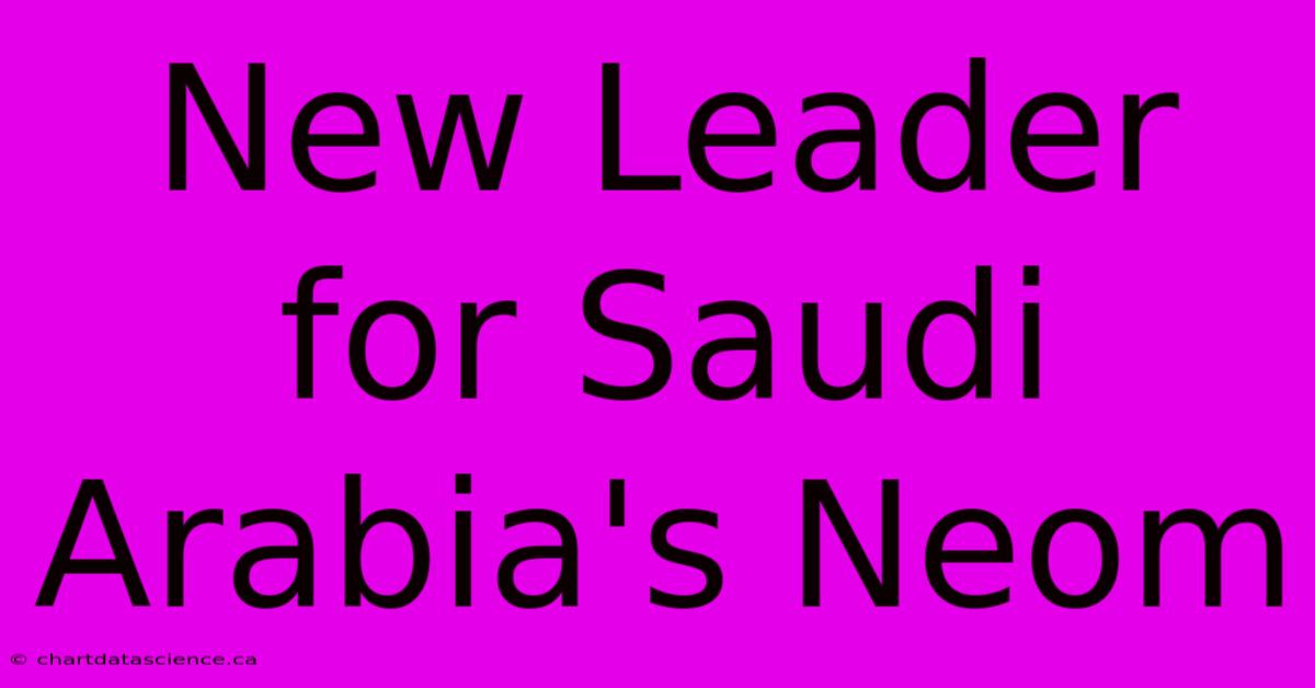 New Leader For Saudi Arabia's Neom