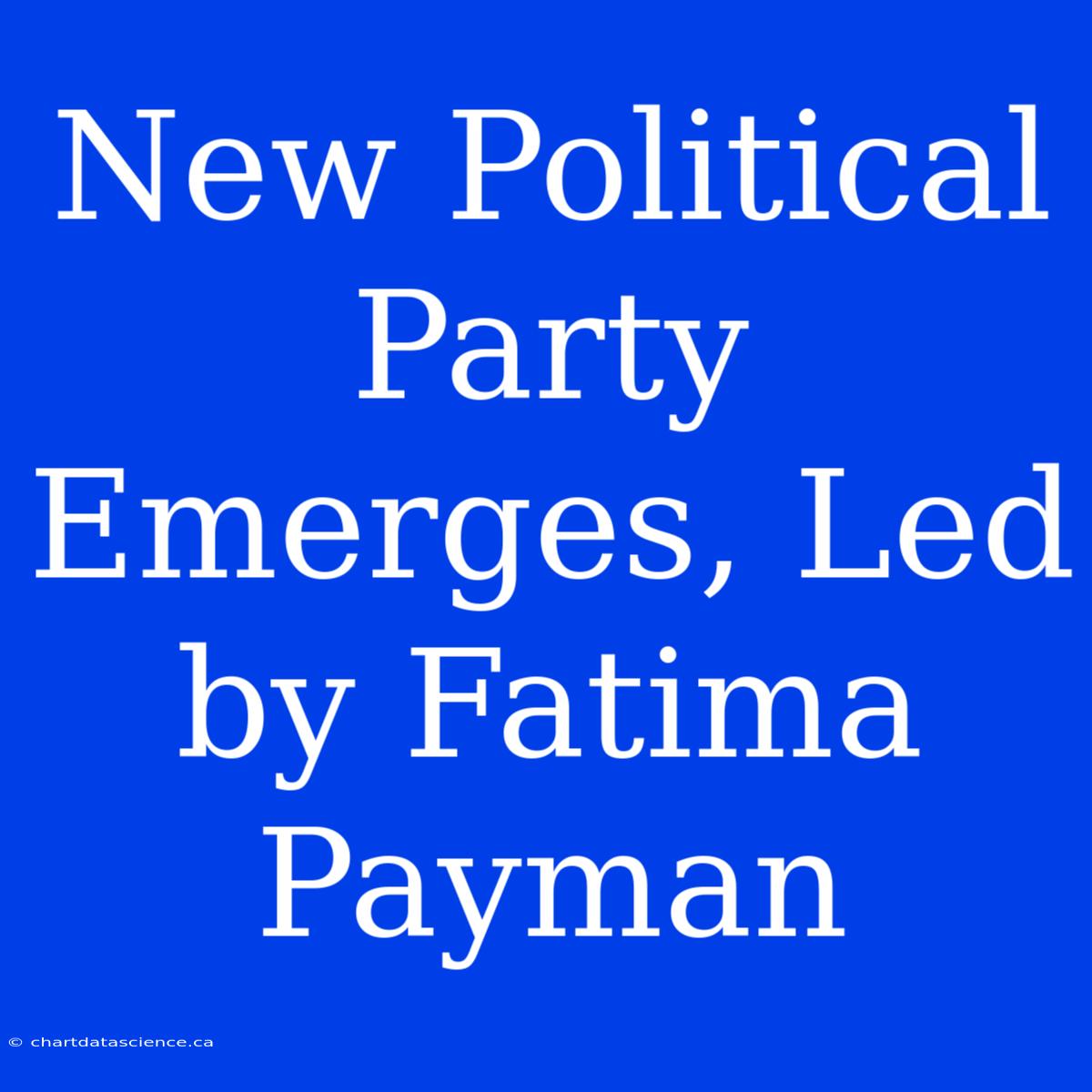 New Political Party Emerges, Led By Fatima Payman