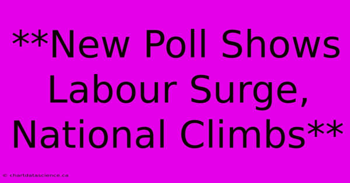 **New Poll Shows Labour Surge, National Climbs**