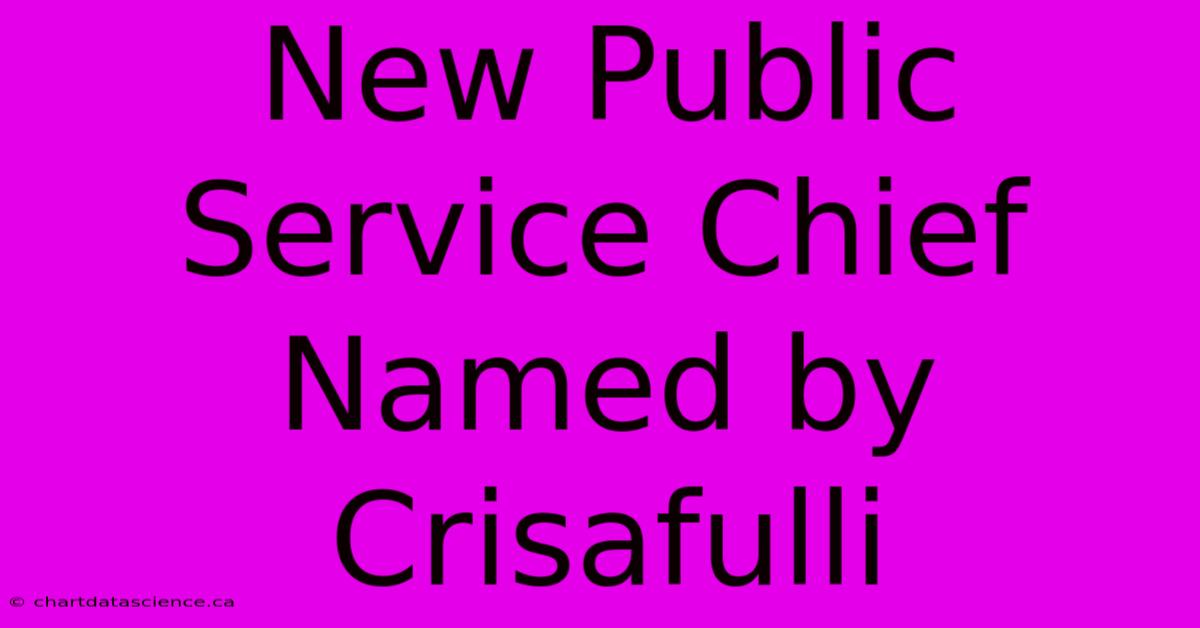 New Public Service Chief Named By Crisafulli