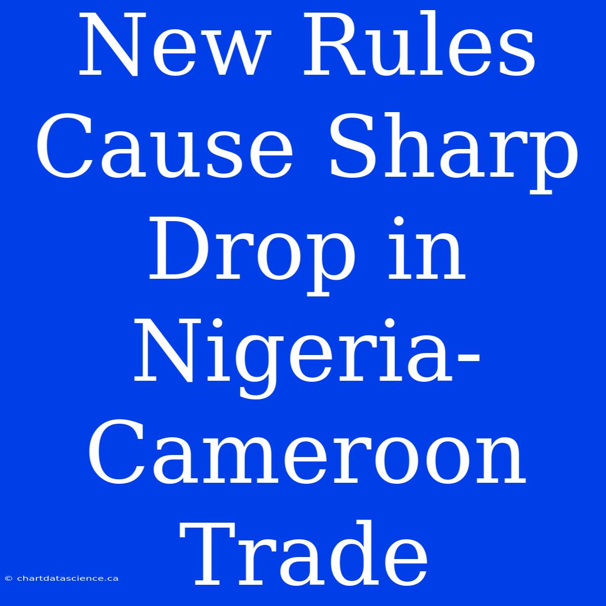 New Rules Cause Sharp Drop In Nigeria-Cameroon Trade