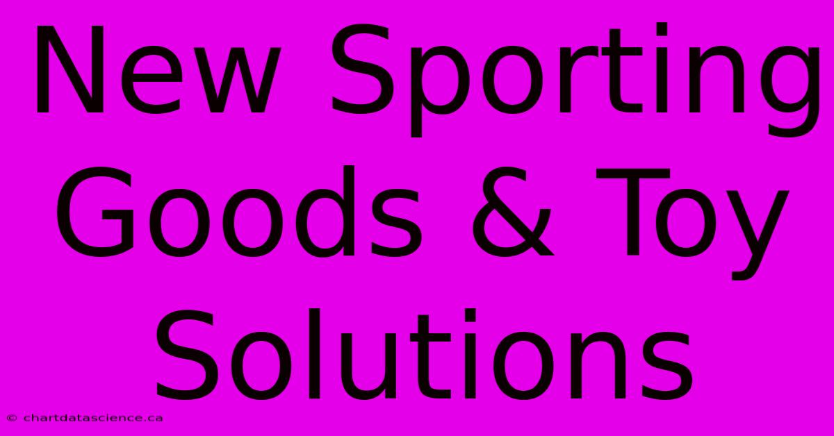 New Sporting Goods & Toy Solutions