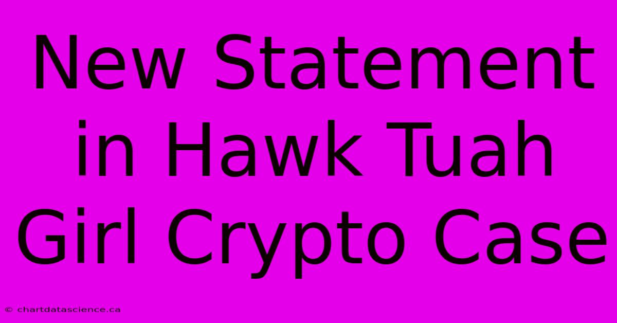 New Statement In Hawk Tuah Girl Crypto Case