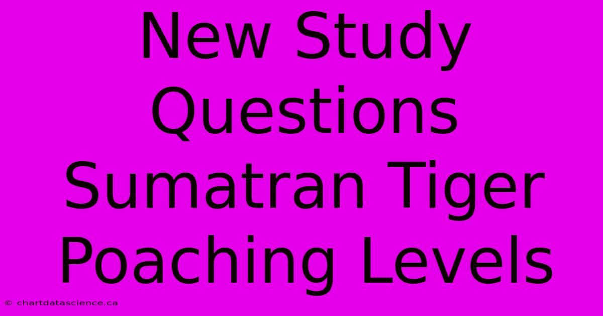 New Study Questions Sumatran Tiger Poaching Levels