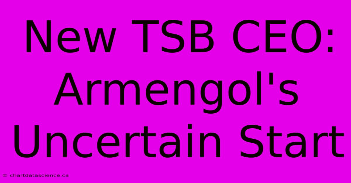 New TSB CEO: Armengol's Uncertain Start