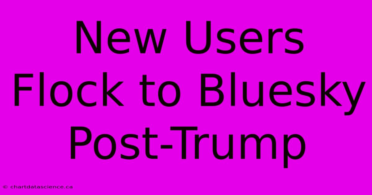 New Users Flock To Bluesky Post-Trump