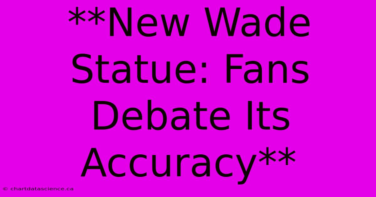 **New Wade Statue: Fans Debate Its Accuracy**