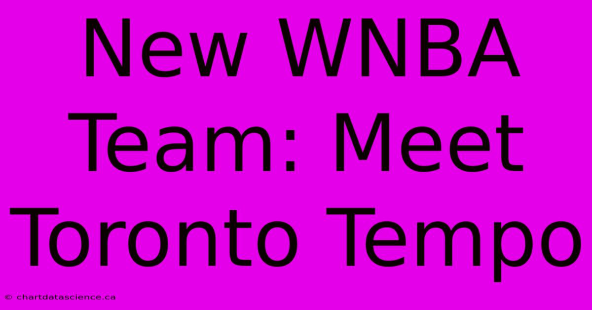 New WNBA Team: Meet Toronto Tempo