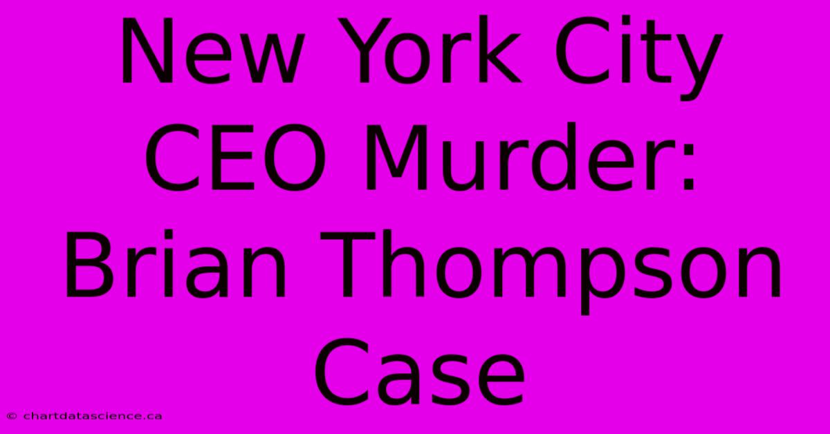 New York City CEO Murder: Brian Thompson Case