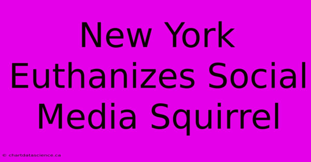 New York Euthanizes Social Media Squirrel