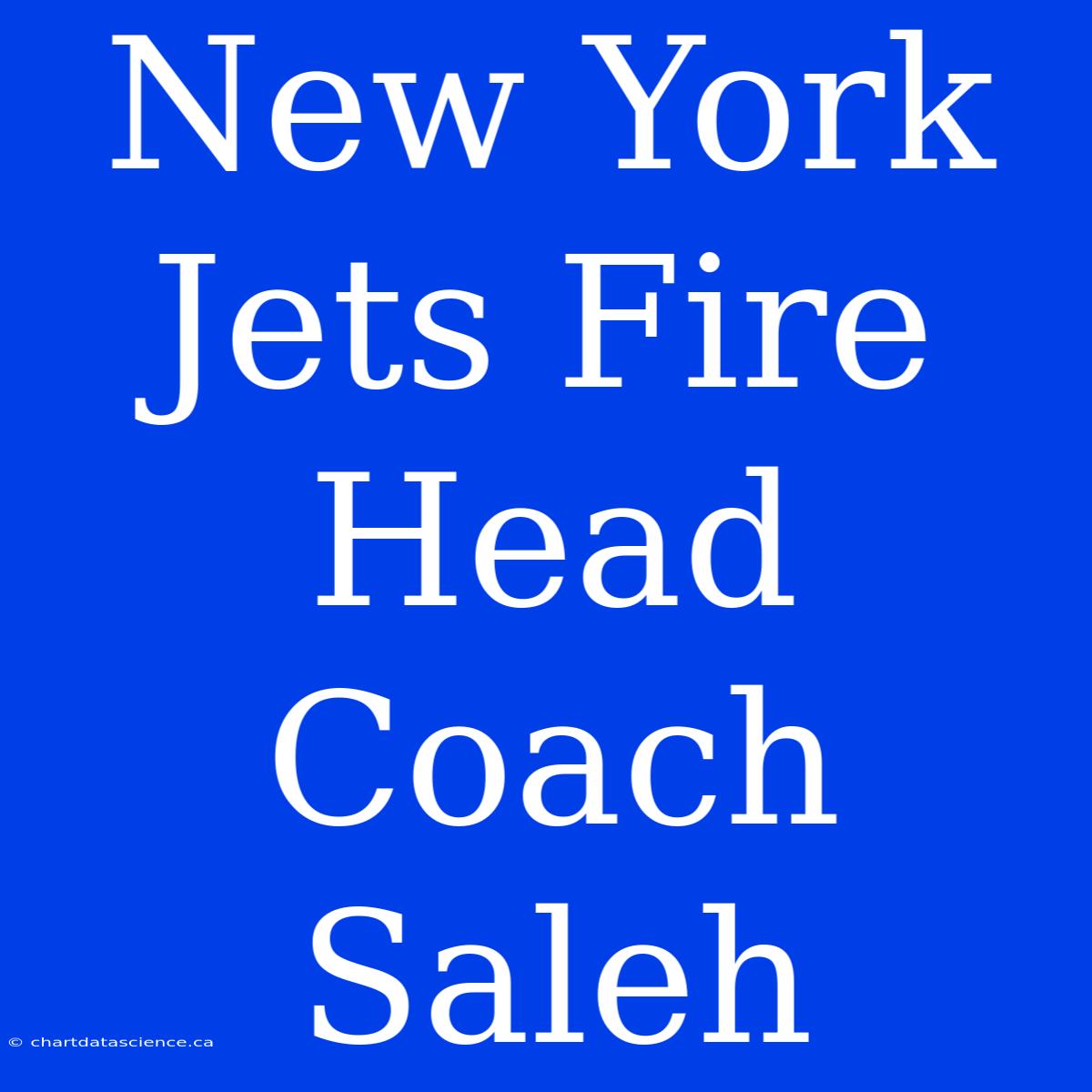 New York Jets Fire Head Coach Saleh