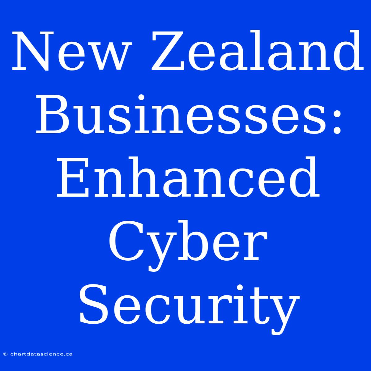 New Zealand Businesses: Enhanced Cyber Security