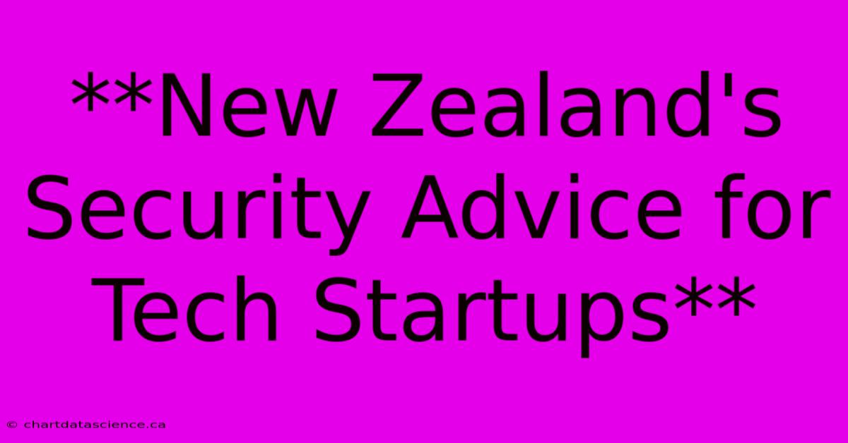 **New Zealand's Security Advice For Tech Startups**