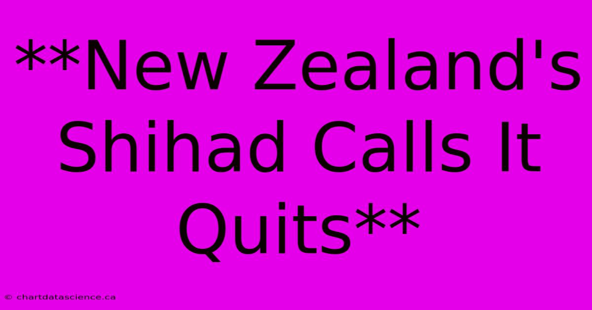 **New Zealand's Shihad Calls It Quits**