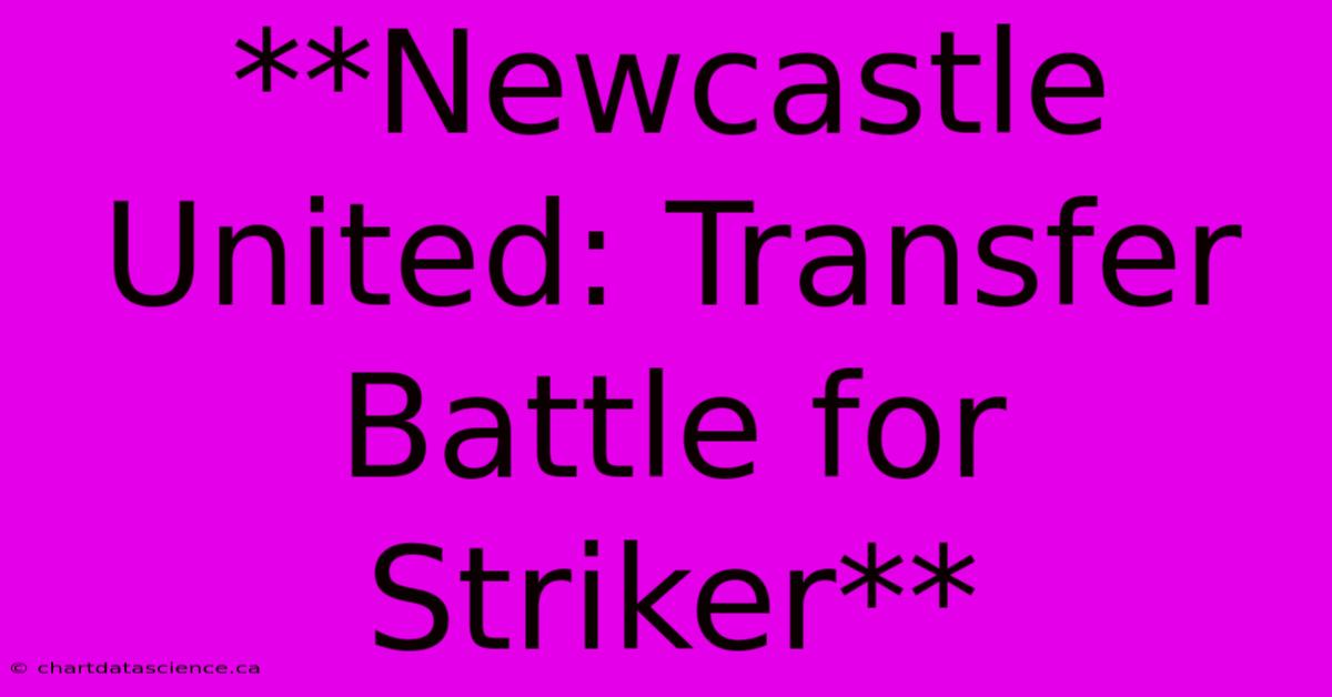 **Newcastle United: Transfer Battle For Striker**