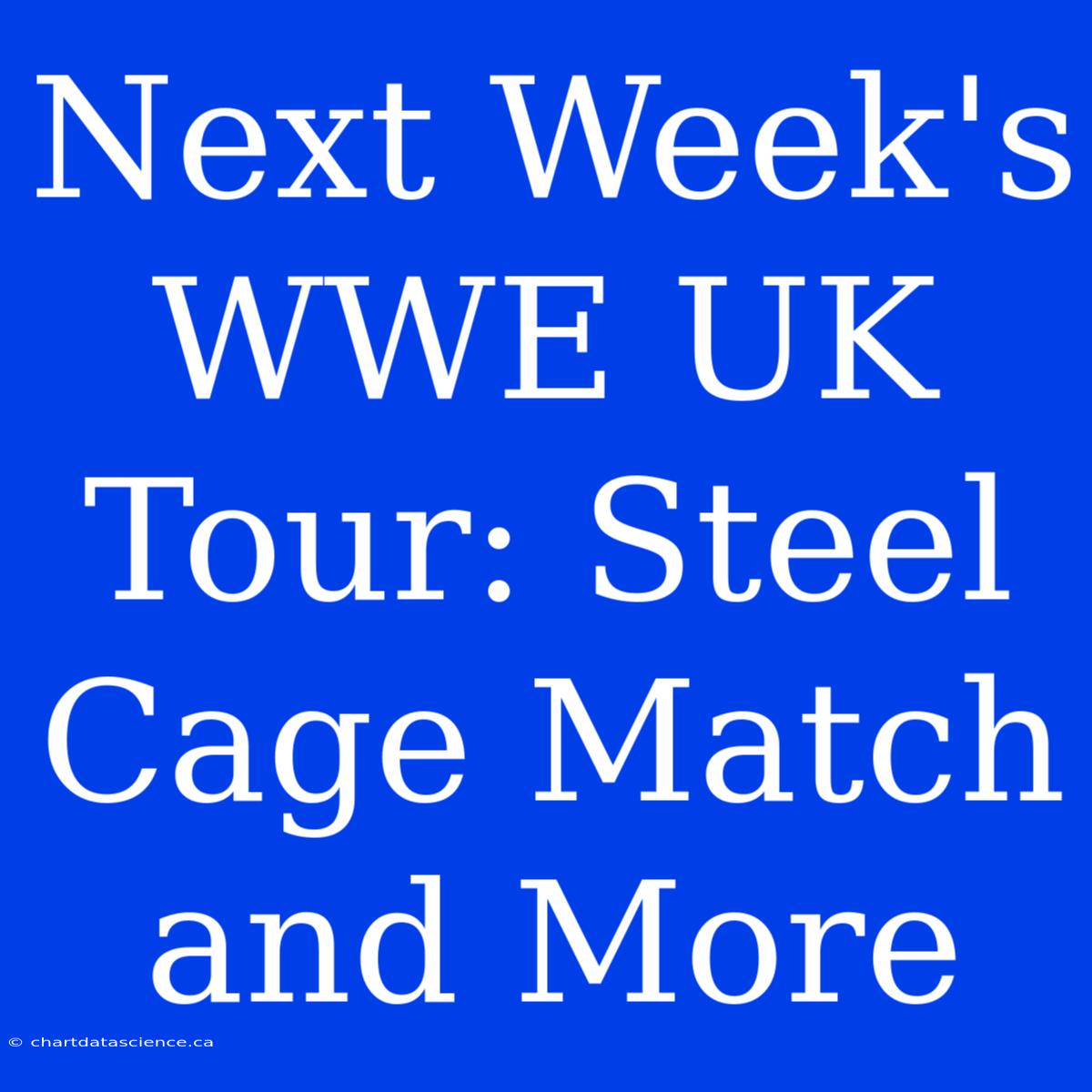 Next Week's WWE UK Tour: Steel Cage Match And More