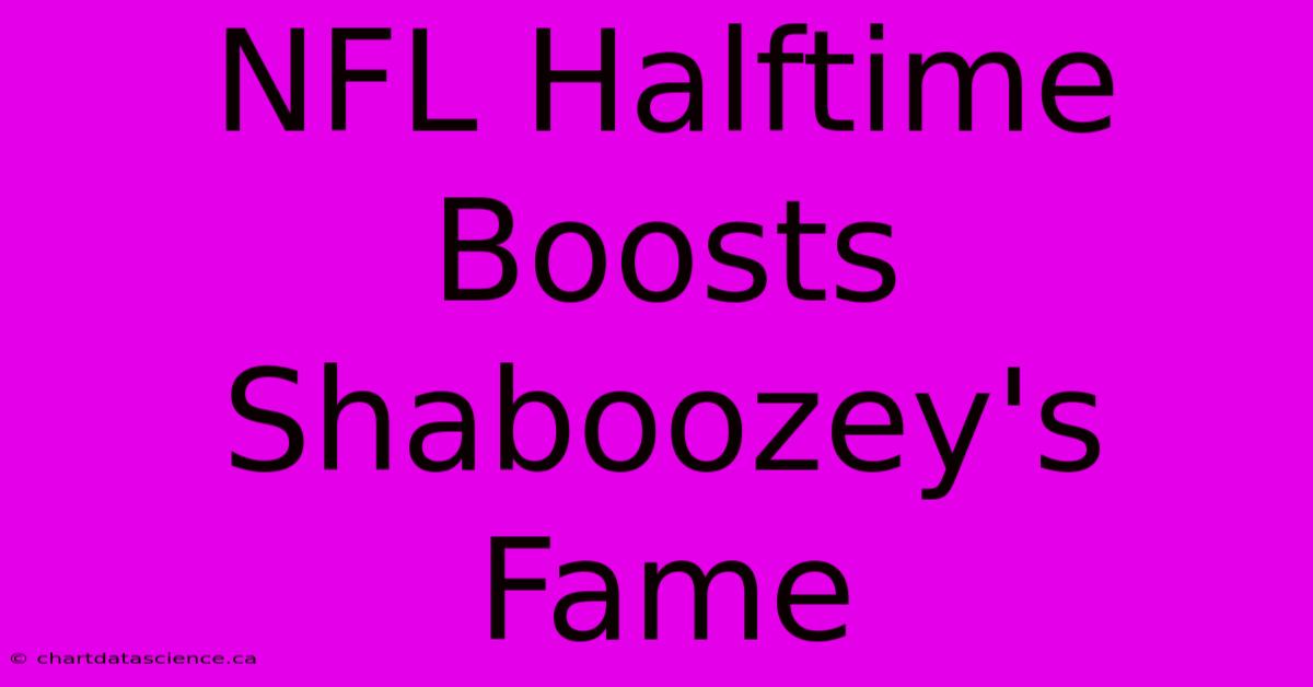 NFL Halftime Boosts Shaboozey's Fame