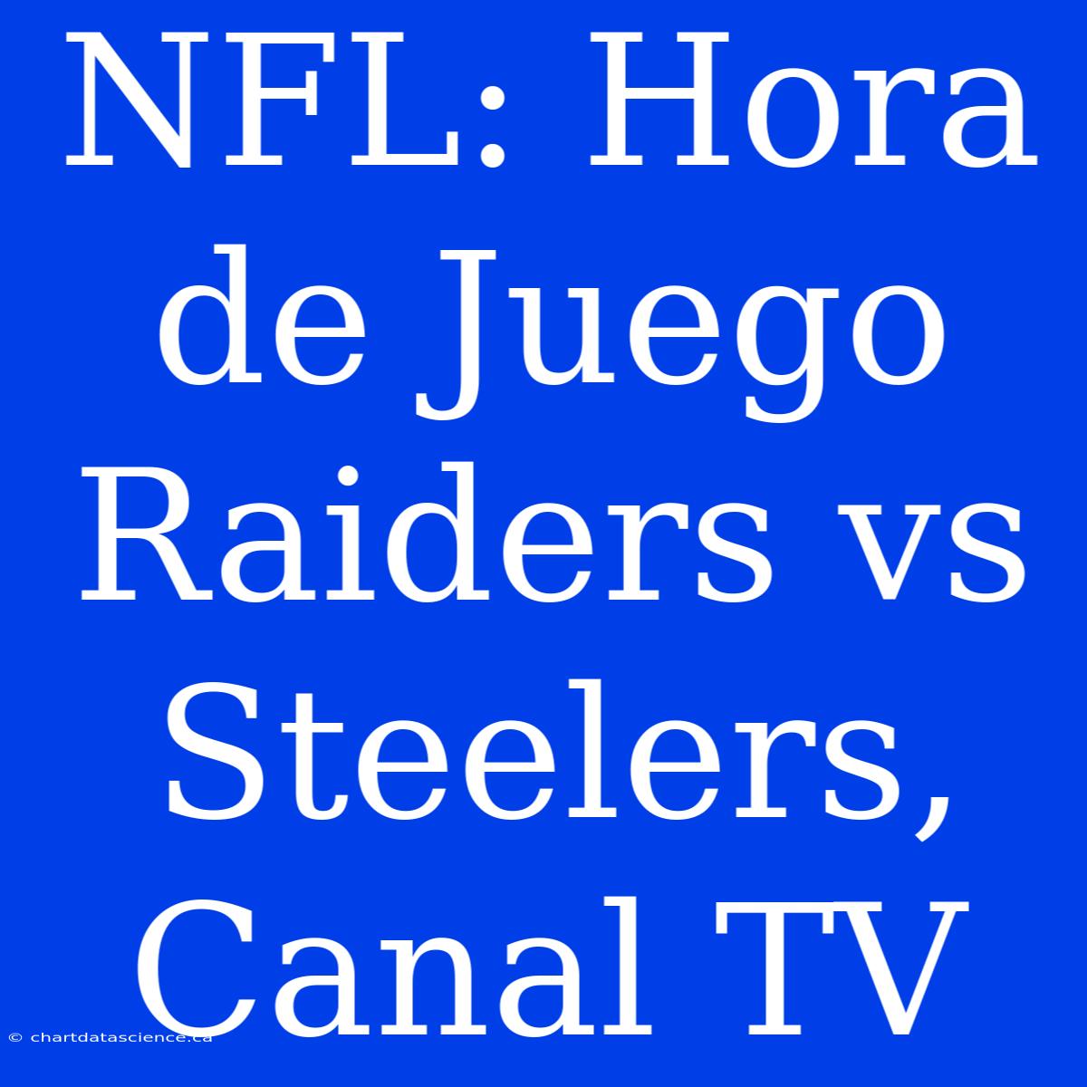 NFL: Hora De Juego Raiders Vs Steelers, Canal TV