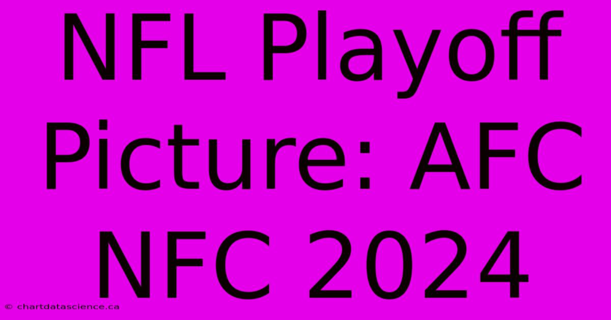 NFL Playoff Picture: AFC NFC 2024