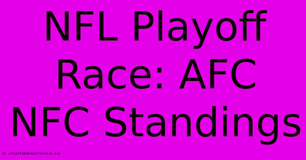 NFL Playoff Race: AFC NFC Standings