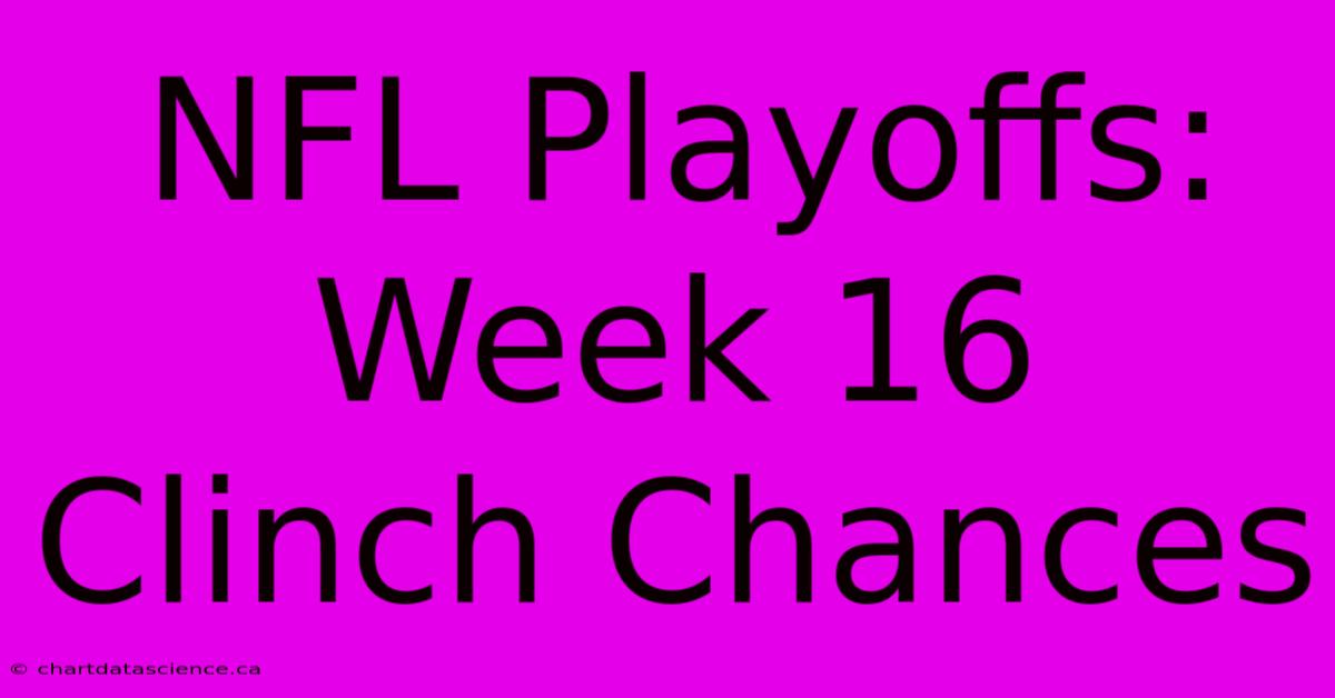 NFL Playoffs: Week 16 Clinch Chances