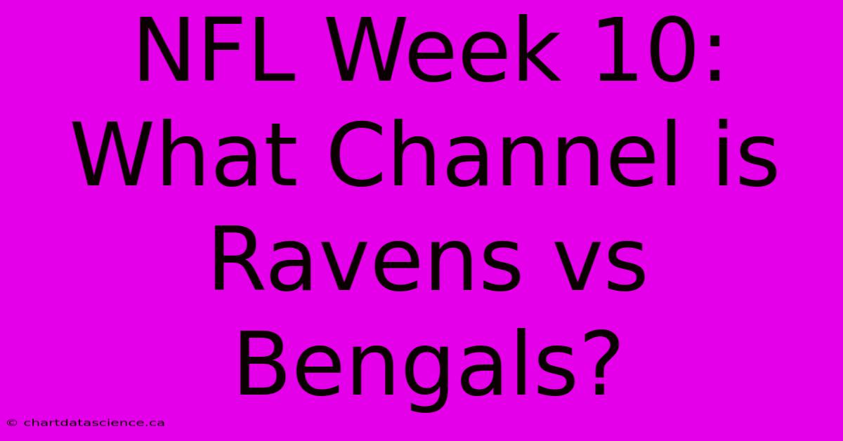 NFL Week 10: What Channel Is Ravens Vs Bengals?