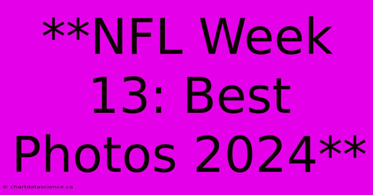 **NFL Week 13: Best Photos 2024**