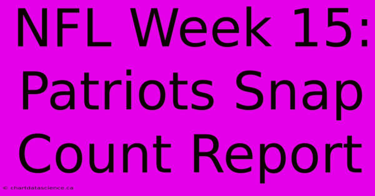 NFL Week 15: Patriots Snap Count Report