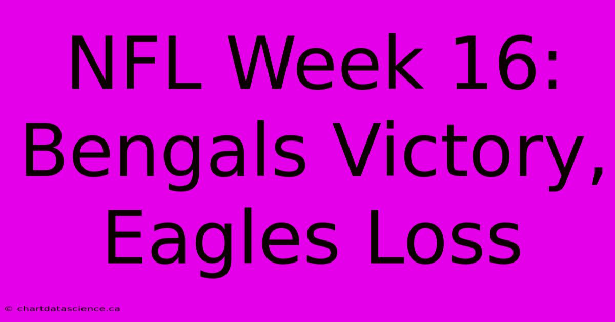 NFL Week 16: Bengals Victory, Eagles Loss