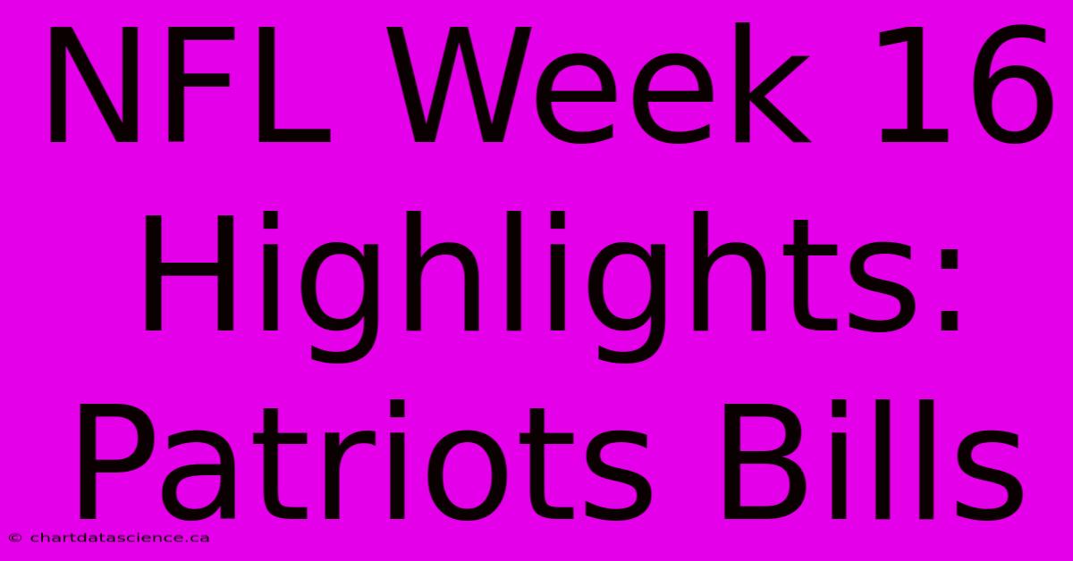 NFL Week 16 Highlights: Patriots Bills