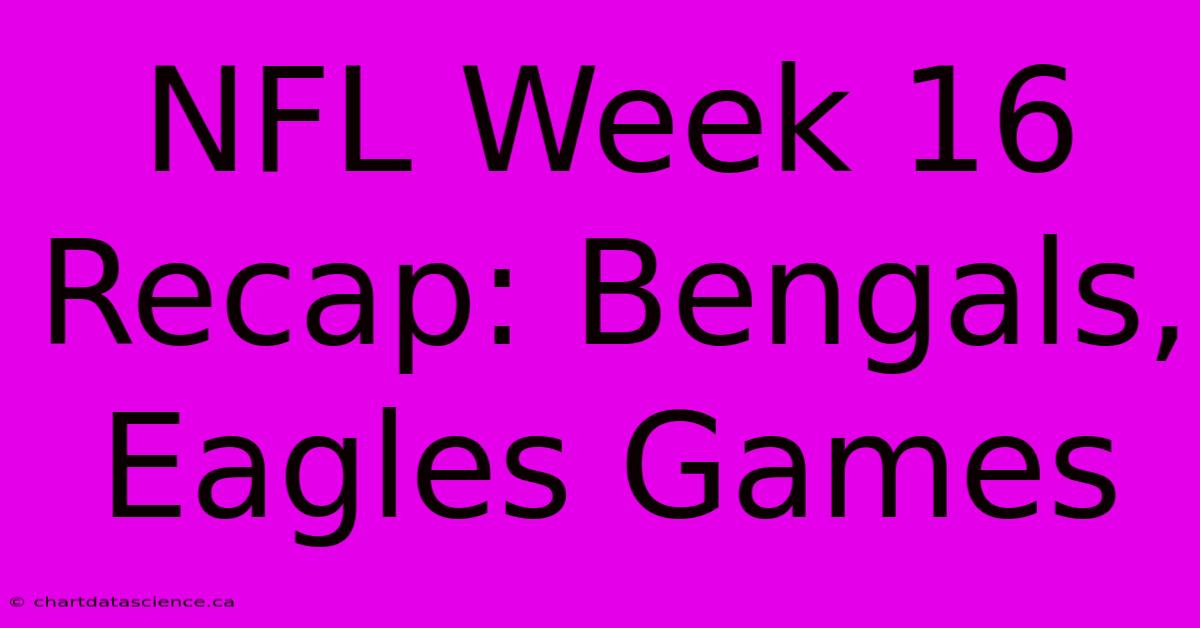 NFL Week 16 Recap: Bengals, Eagles Games