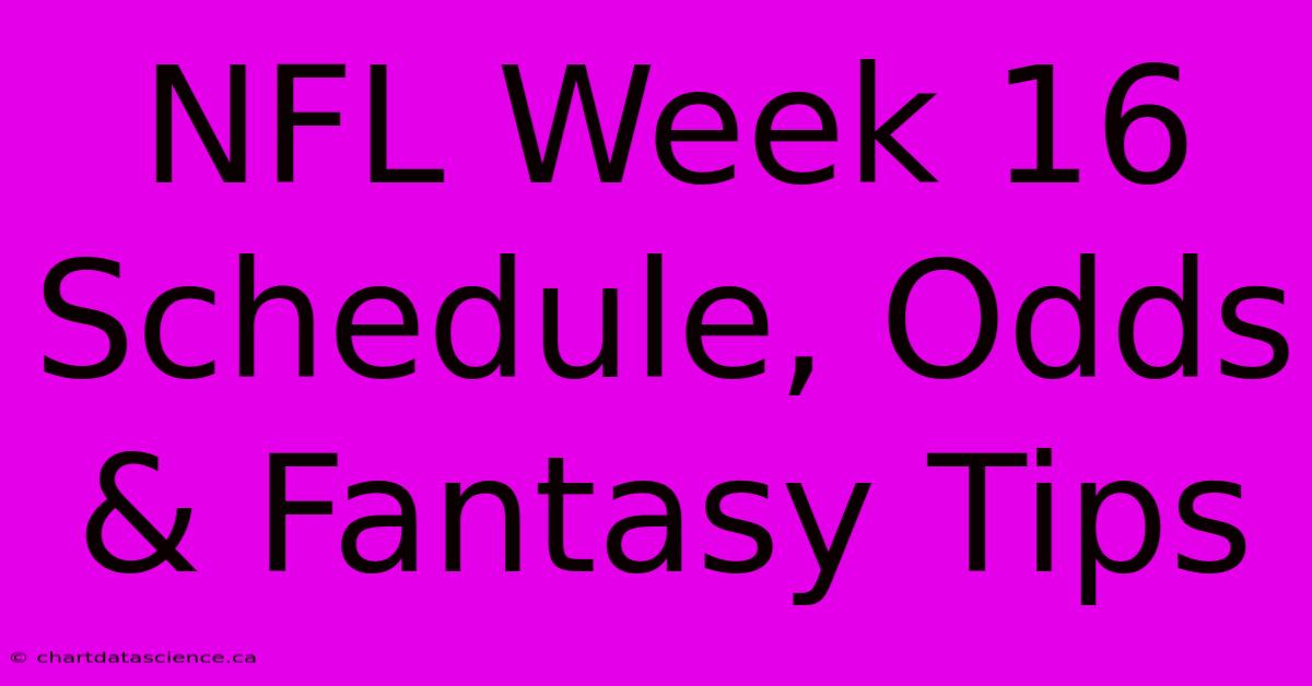 NFL Week 16 Schedule, Odds & Fantasy Tips