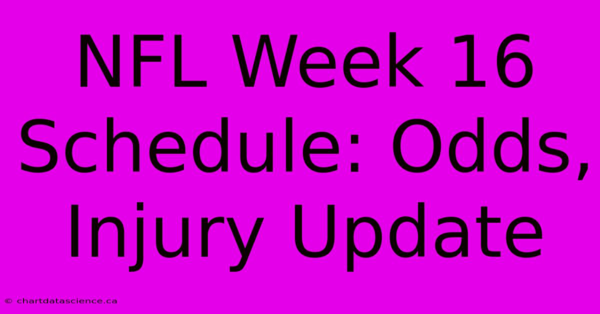 NFL Week 16 Schedule: Odds, Injury Update