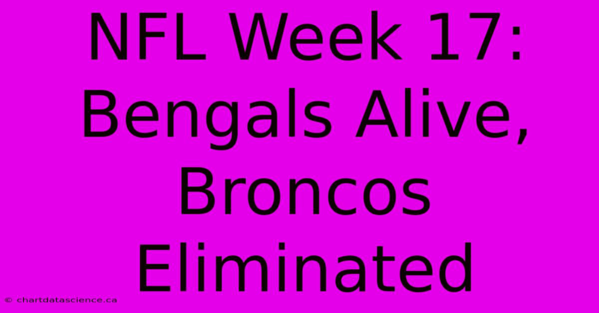 NFL Week 17: Bengals Alive, Broncos Eliminated