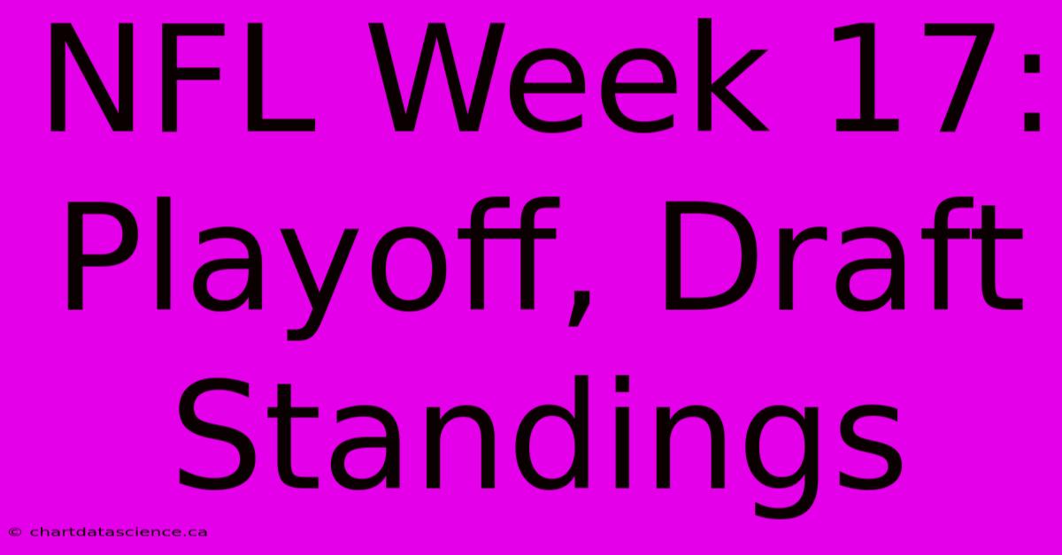 NFL Week 17: Playoff, Draft Standings