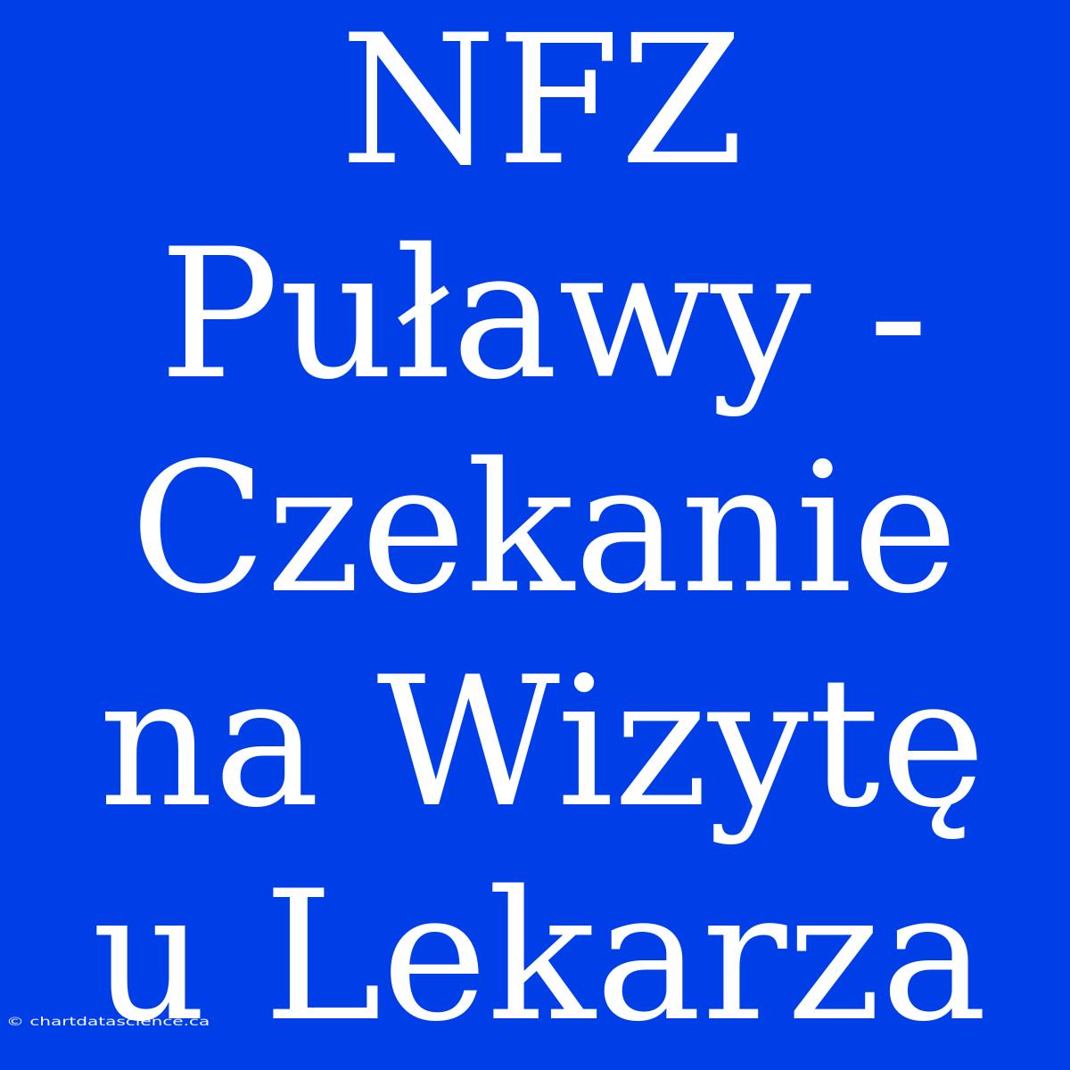 NFZ Puławy - Czekanie Na Wizytę U Lekarza