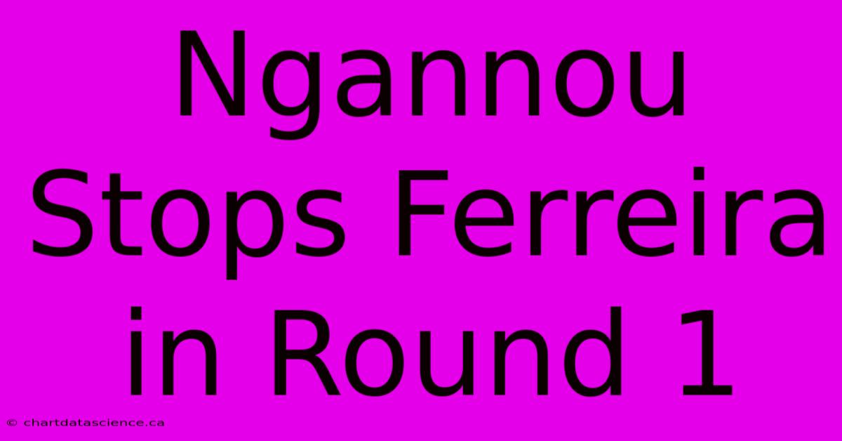 Ngannou Stops Ferreira In Round 1