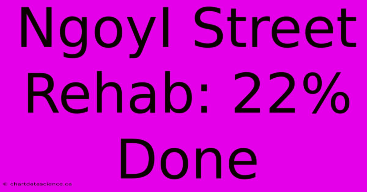 NgoyI Street Rehab: 22% Done