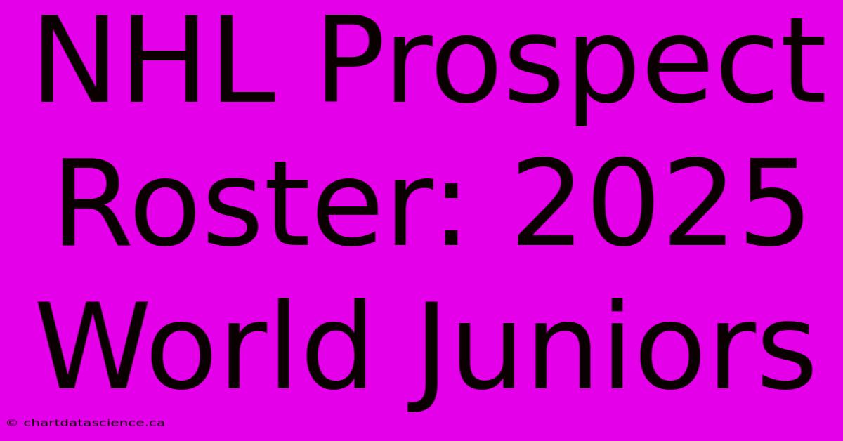 NHL Prospect Roster: 2025 World Juniors