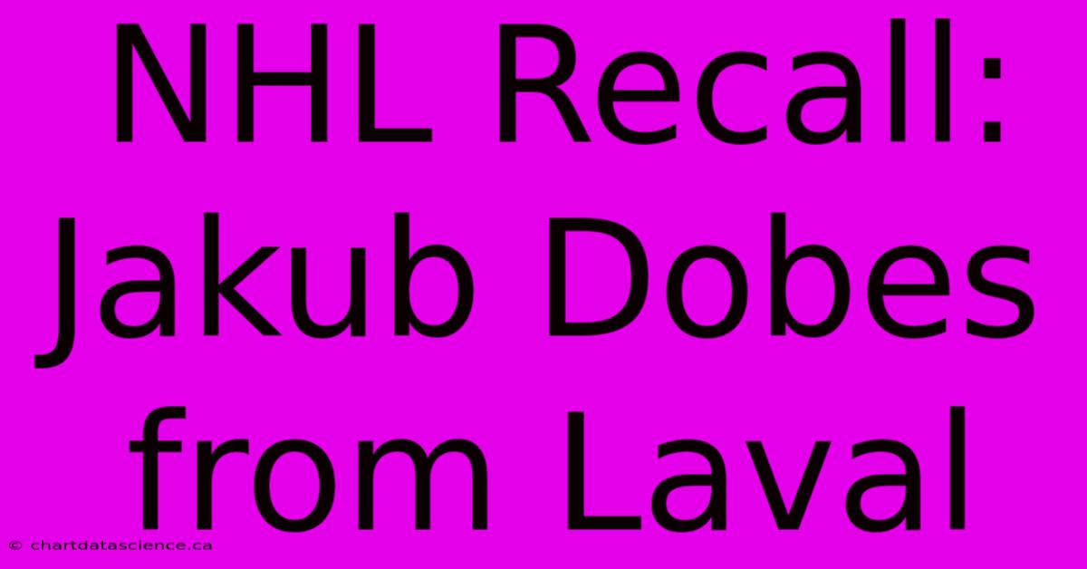 NHL Recall: Jakub Dobes From Laval