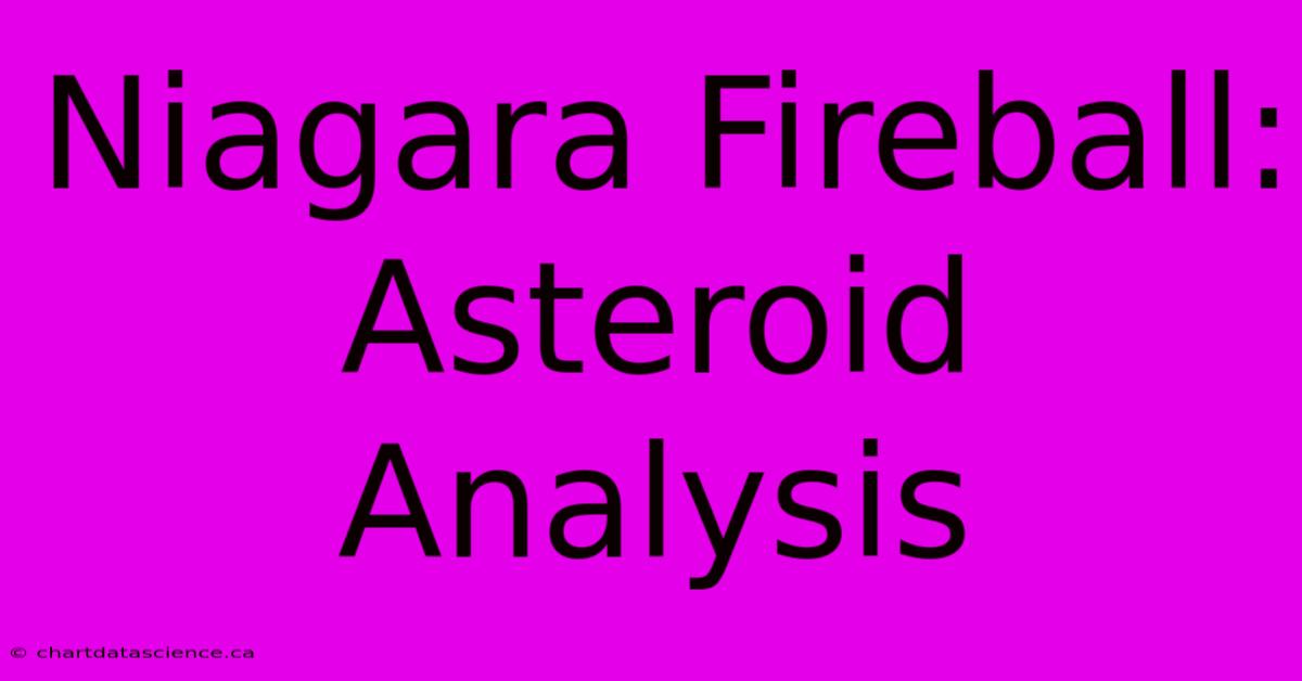 Niagara Fireball: Asteroid Analysis