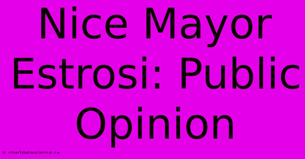 Nice Mayor Estrosi: Public Opinion