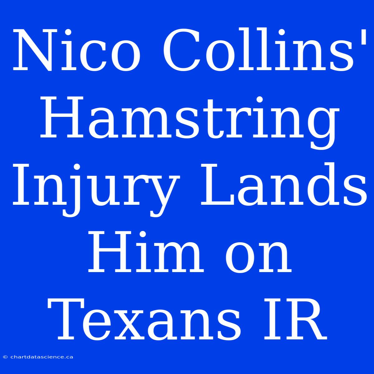 Nico Collins' Hamstring Injury Lands Him On Texans IR