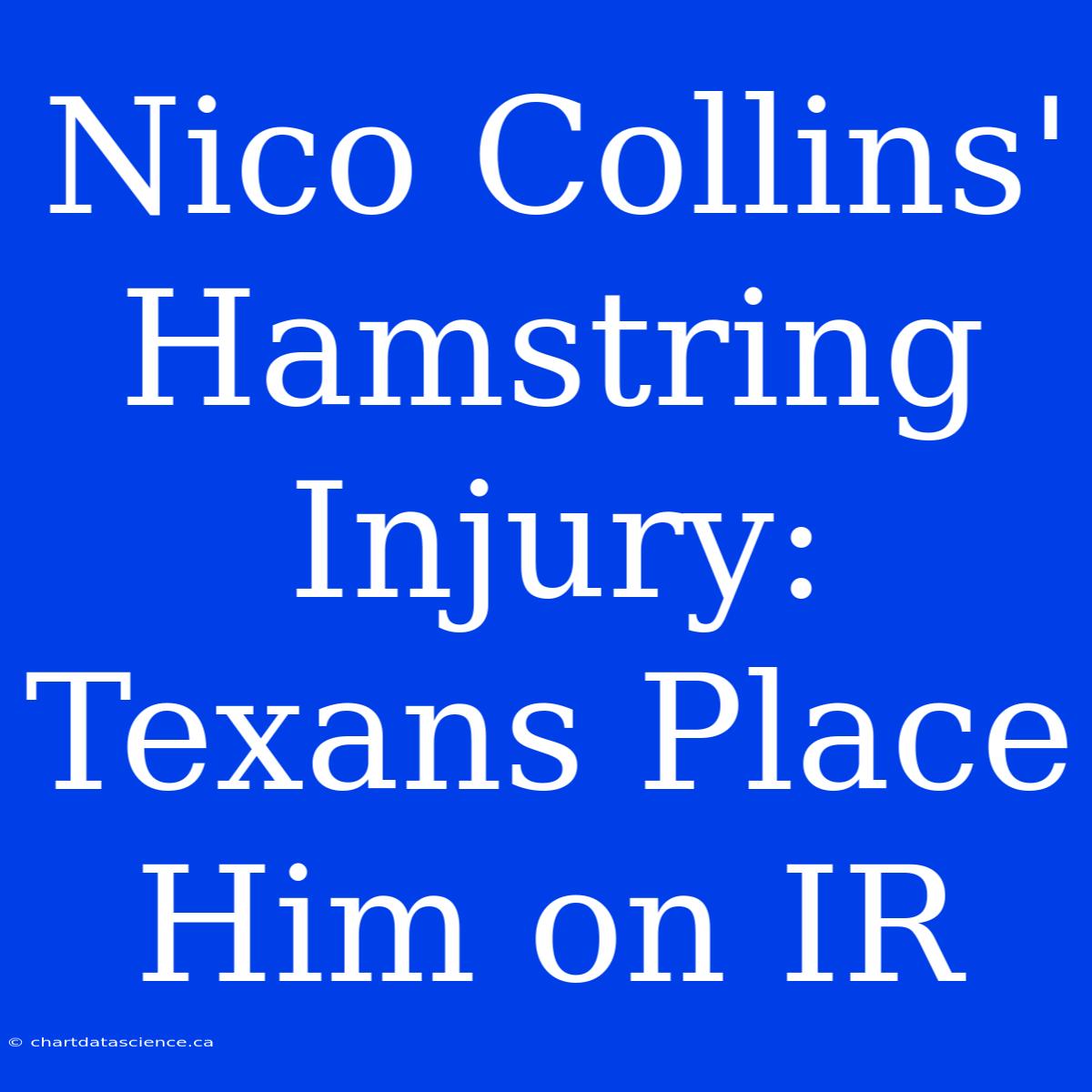 Nico Collins' Hamstring Injury: Texans Place Him On IR