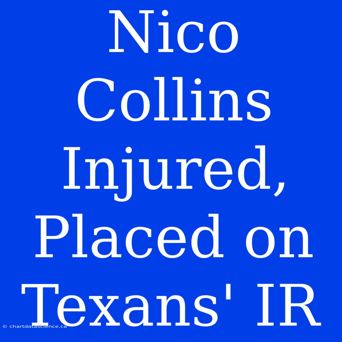 Nico Collins Injured, Placed On Texans' IR