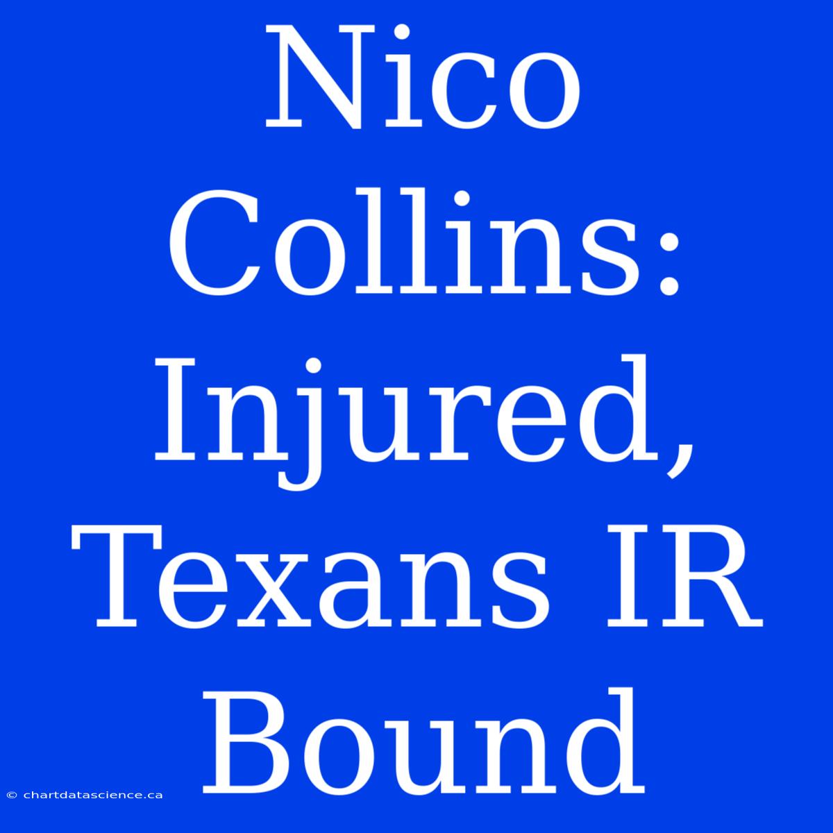 Nico Collins: Injured, Texans IR Bound