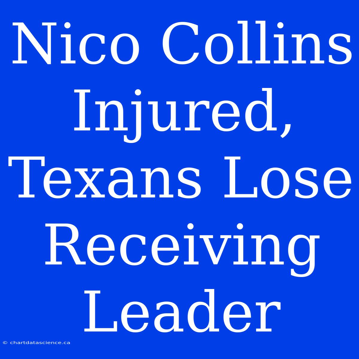 Nico Collins Injured, Texans Lose Receiving Leader