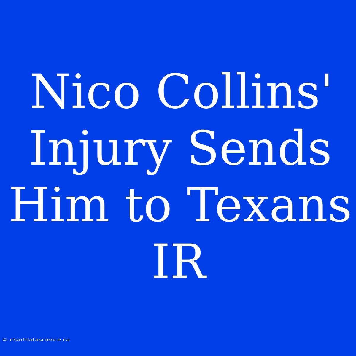 Nico Collins' Injury Sends Him To Texans IR