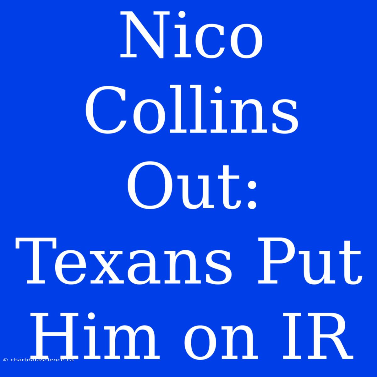 Nico Collins Out: Texans Put Him On IR