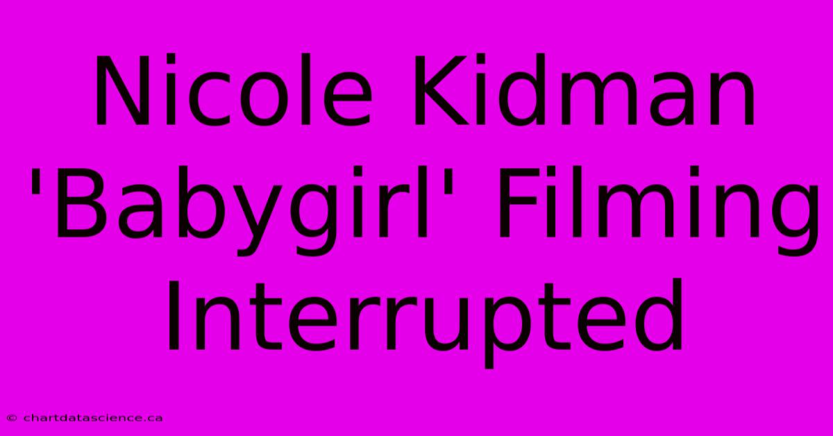 Nicole Kidman 'Babygirl' Filming Interrupted 